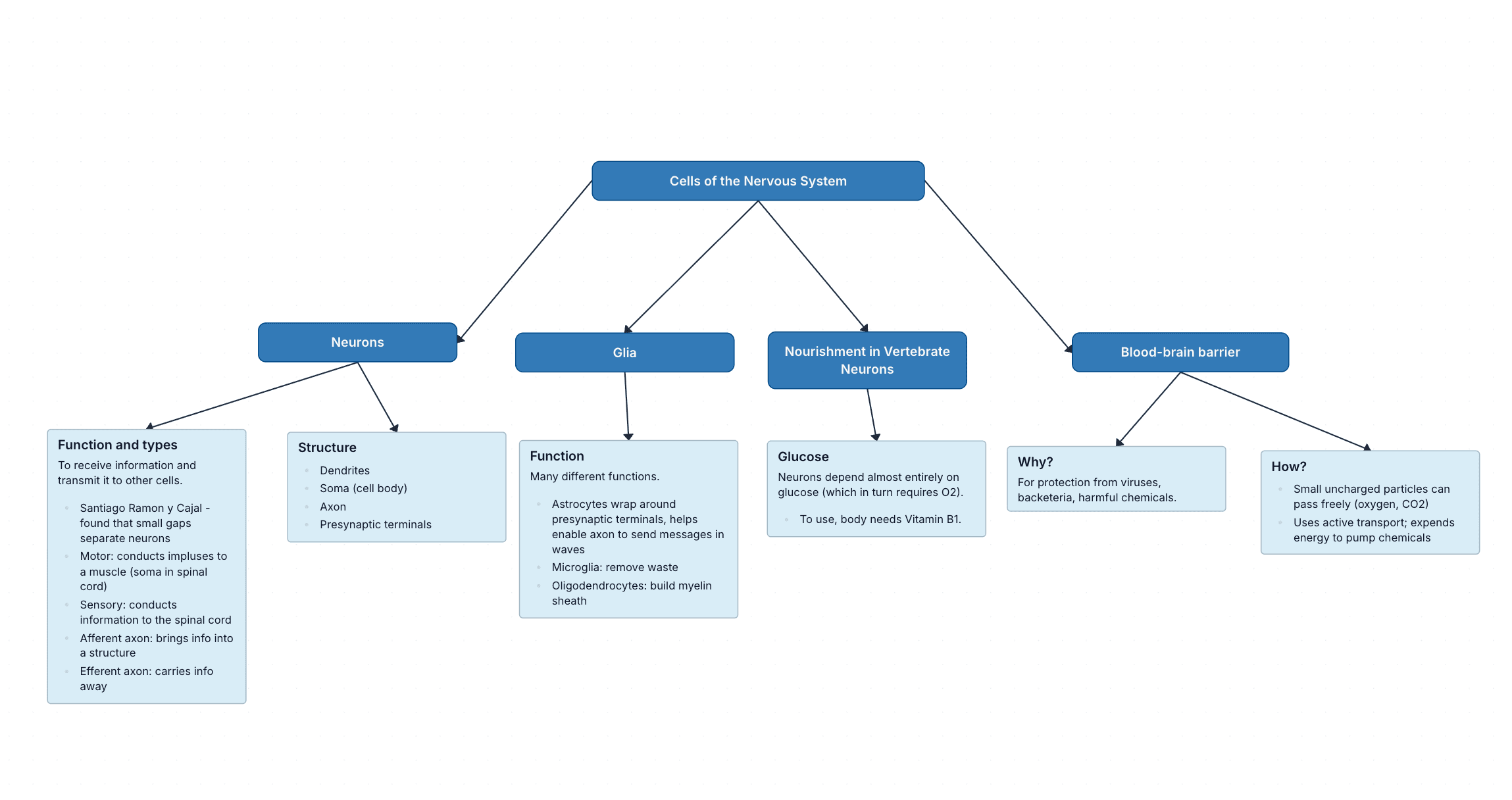 Cells of the nervous system mind map